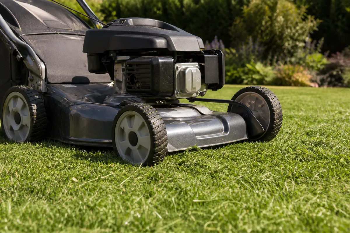 Tondeuse en mode mulching sur une pelouse naturelle tondue haut